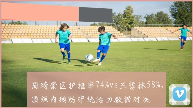 周琦禁区护框率74%vs王哲林58%,顶级内线防守统治力数据对决
